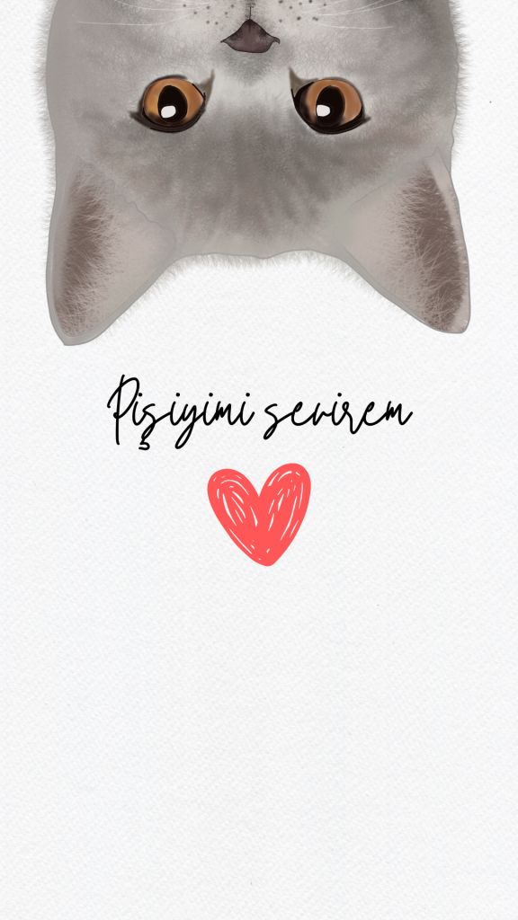 ekran sekilleri pisiymi sevirem
